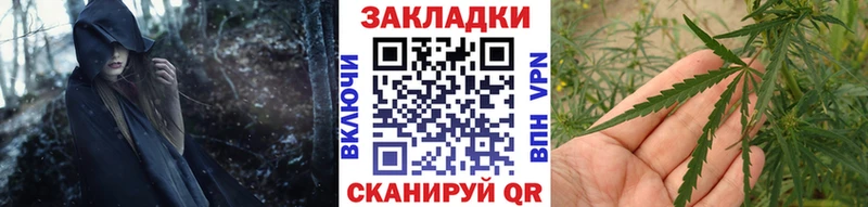 Купить закладку Гашиш  КОКАИН  Псилоцибиновые грибы  Бошки Шишки  Мефедрон  СОЛЬ  Киров